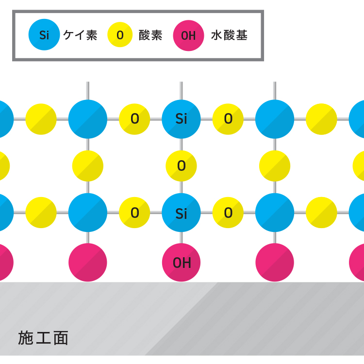 科学的付着